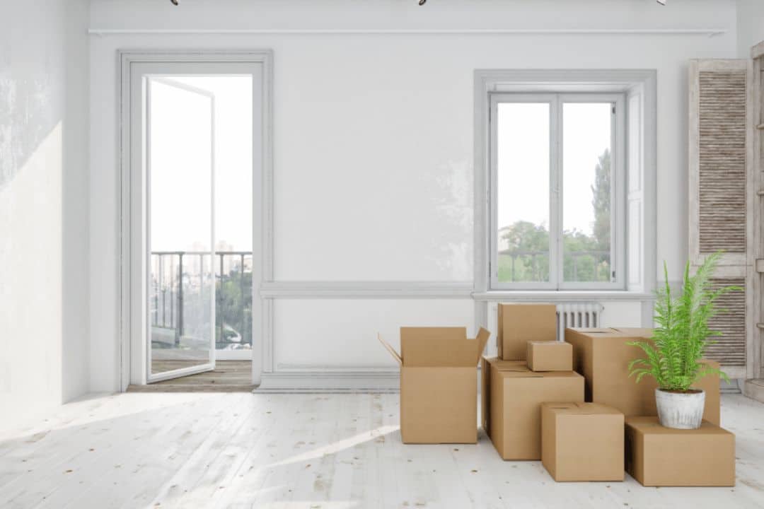 move cleaning 01