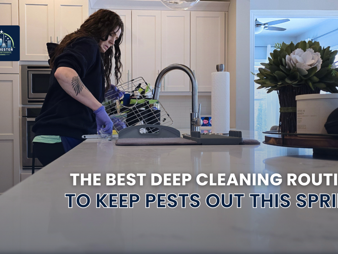 The Best Deep Cleaning Routine to Keep Pests Out This Spring