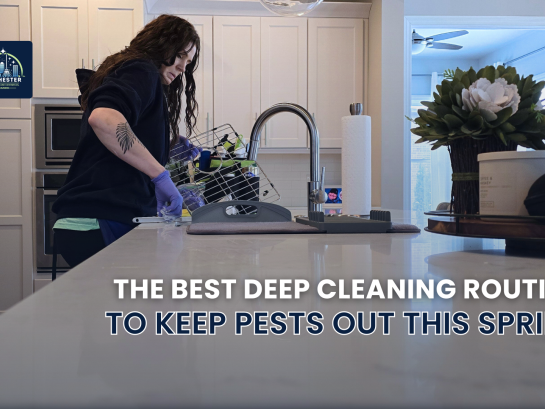 The Best Deep Cleaning Routine to Keep Pests Out This Spring